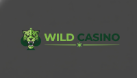 Wild Casino